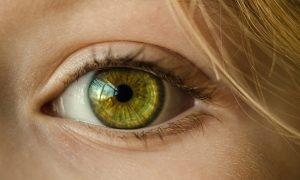 primer plano ojo de una mujer