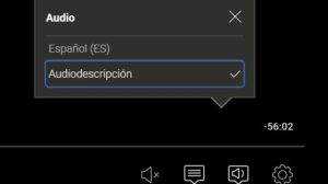 Panel audiodescripción Netflix